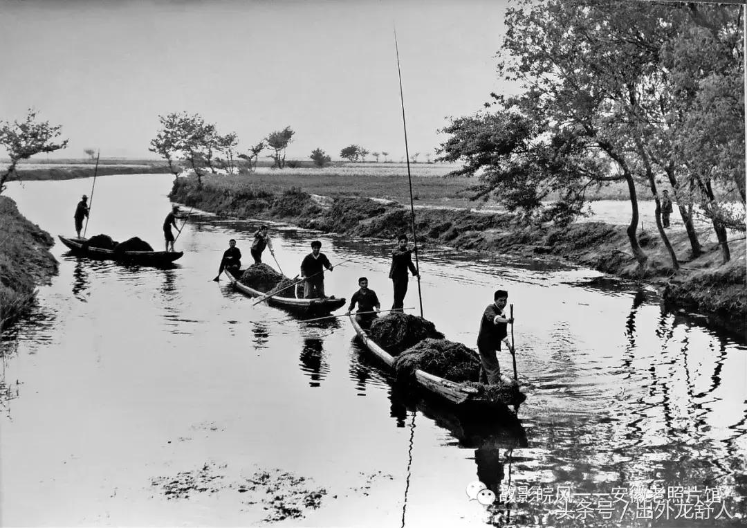 光“徽”岁月——影像见证安徽40年（一）