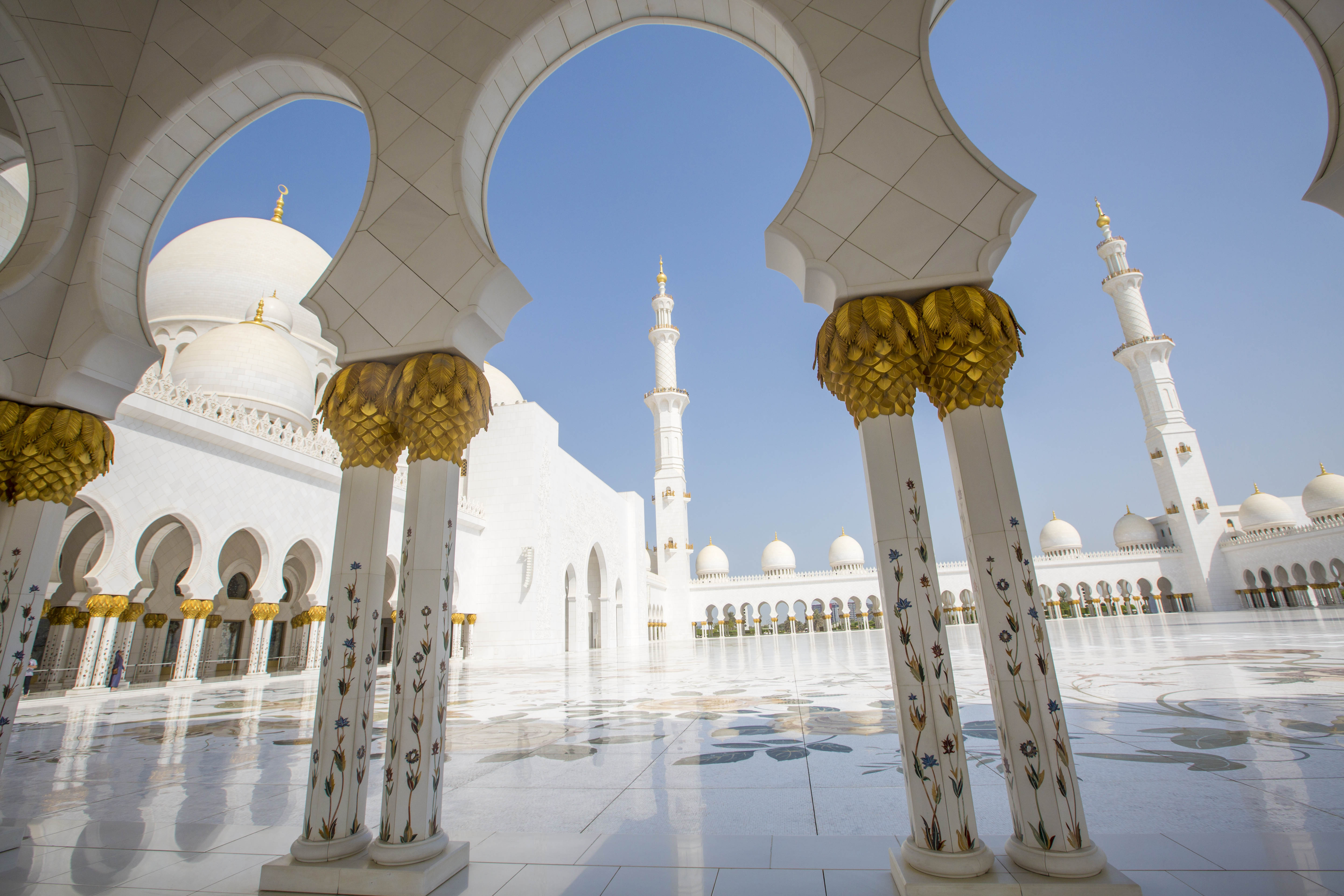 阿布扎比清真寺和阿里清真寺,阿联酋最奢华的清真寺