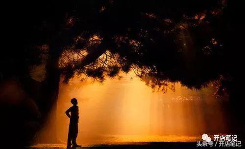 如何去开一家低成本的奶茶店,没有任何经验如何开好一家奶茶店