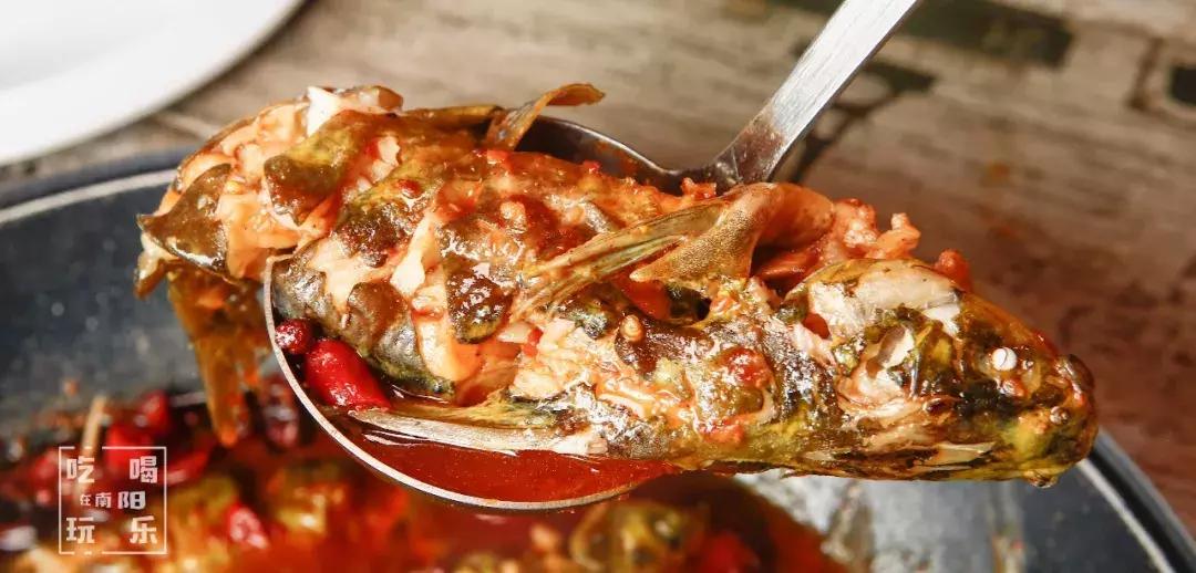 爆！光武路这家店用活鱼下锅！一口鲜到爆炸！吃完简直要犯罪！