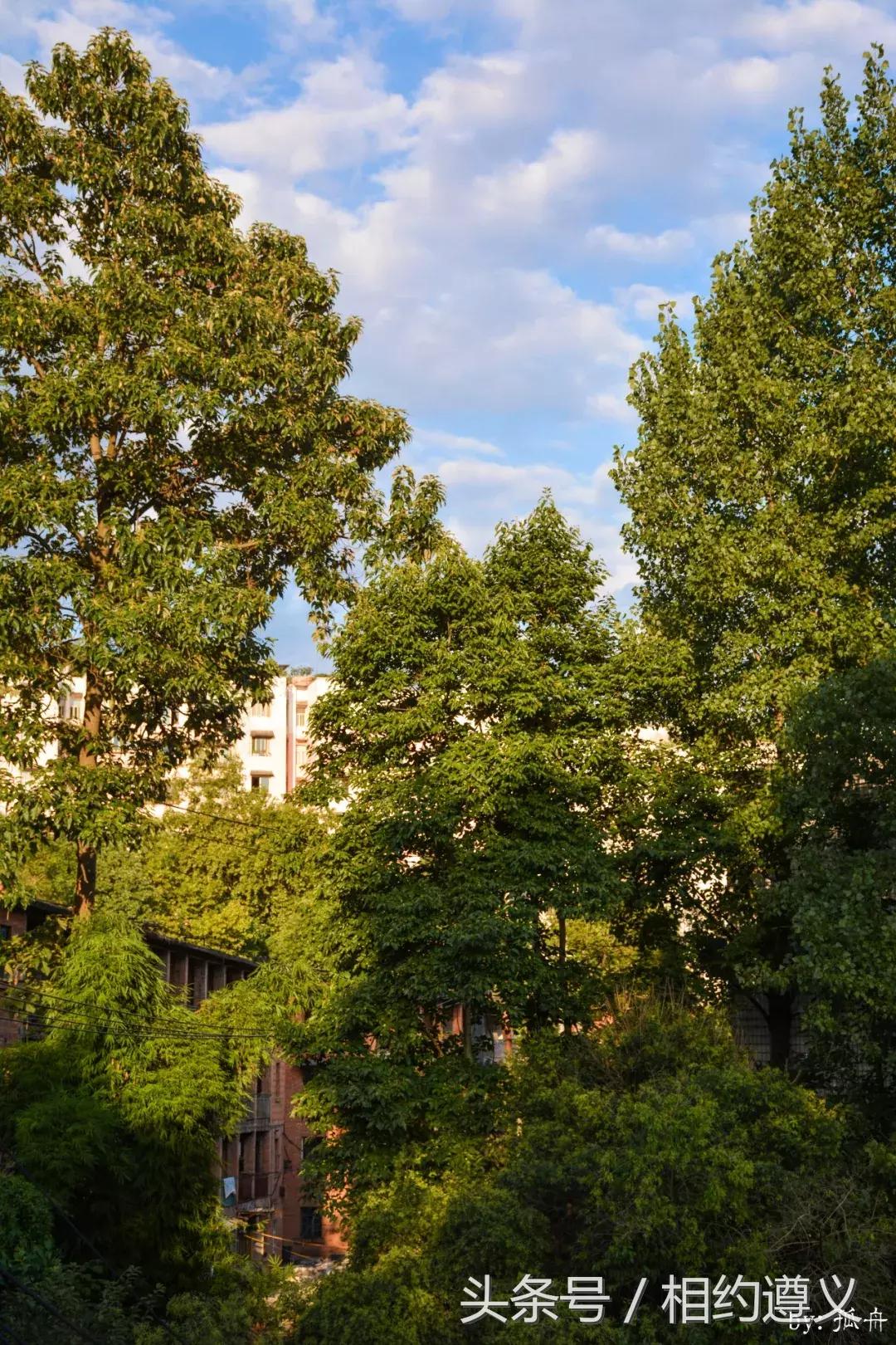 遵义八七厂的照片,遵义八七厂做什么的