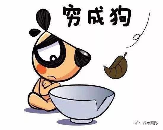 抑制食欲哪种黑巧克力好,百分百黑巧克力真的可以抑制食欲