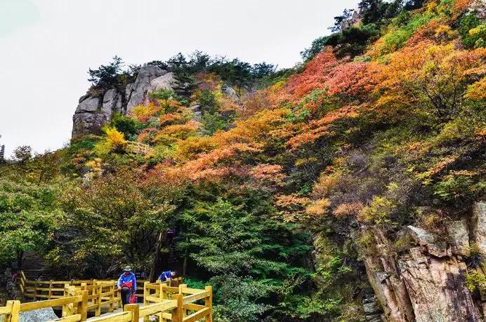 青岛4号线游崂山攻略,崂山一日游青岛站