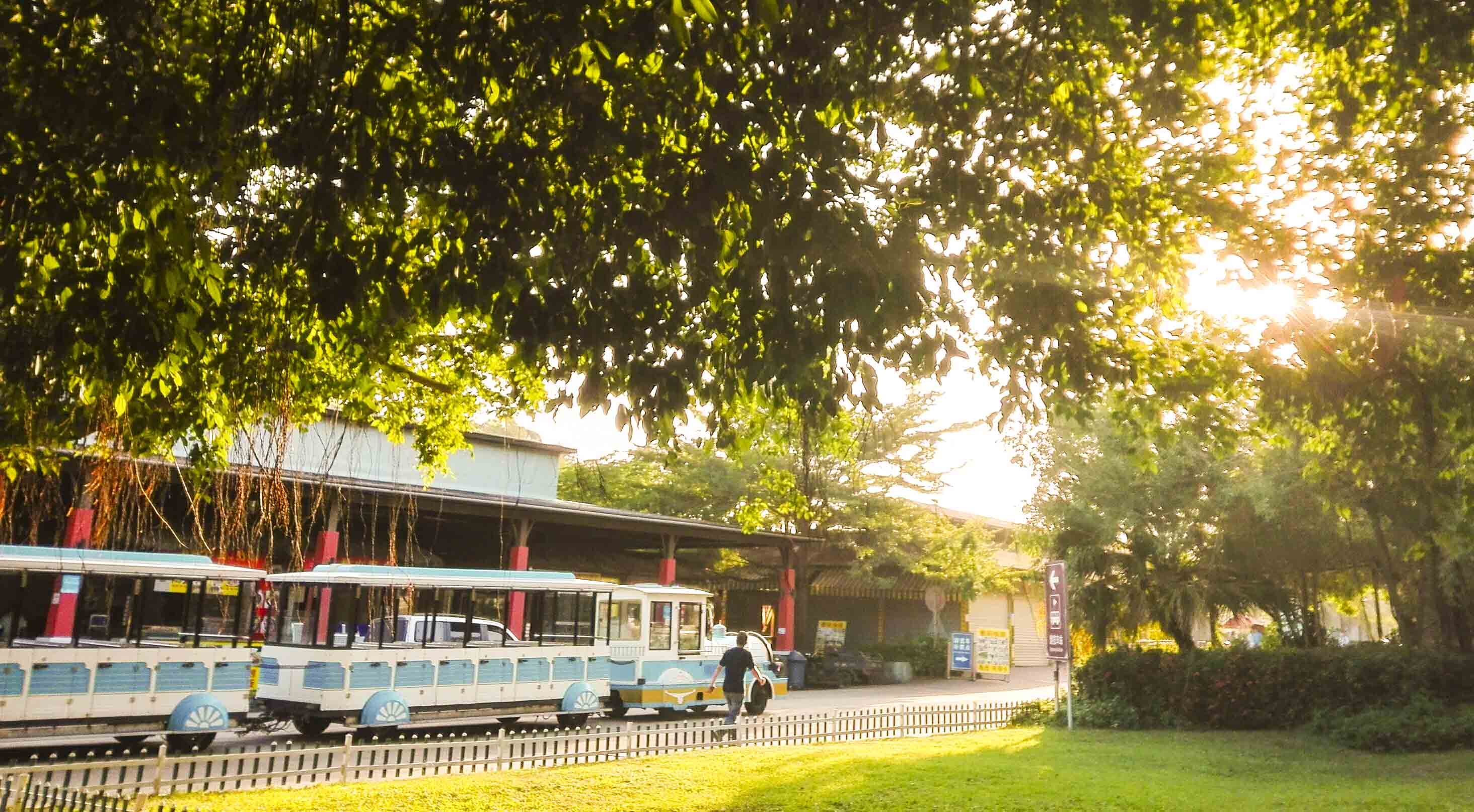 旅游攻略三亚南山寺,三亚市区怎么去南山景区