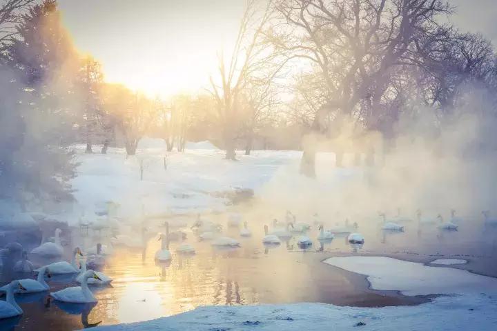 冬天去日本北海道的攻略,冬季日本北海道游记
