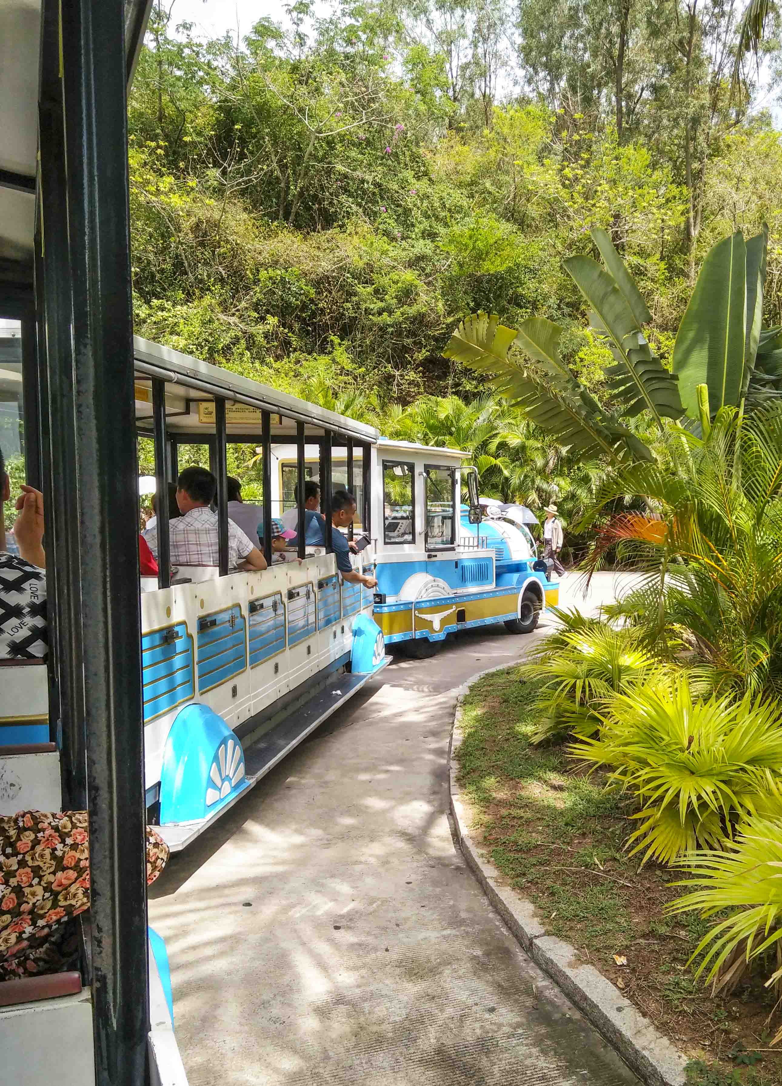 旅游攻略三亚南山寺,三亚市区怎么去南山景区