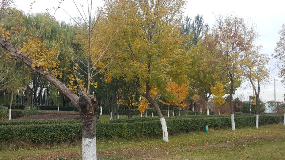 华为mate20pro现在还能买吗,华为mate20pro还可以入手吗