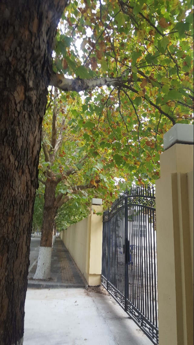 华为mate20pro现在还能买吗,华为mate20pro还可以入手吗