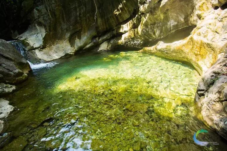 宜昌百家文化生活空间正在推选丨长阳卓尔文旅：你想要的诗与远方