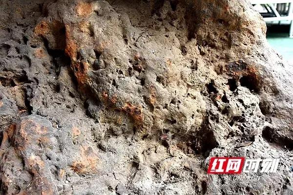 湘江挖出铁牛,千里湘江第一湾照片