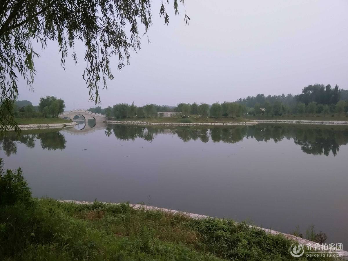 阿呆图片动图,阿呆高清图片图文