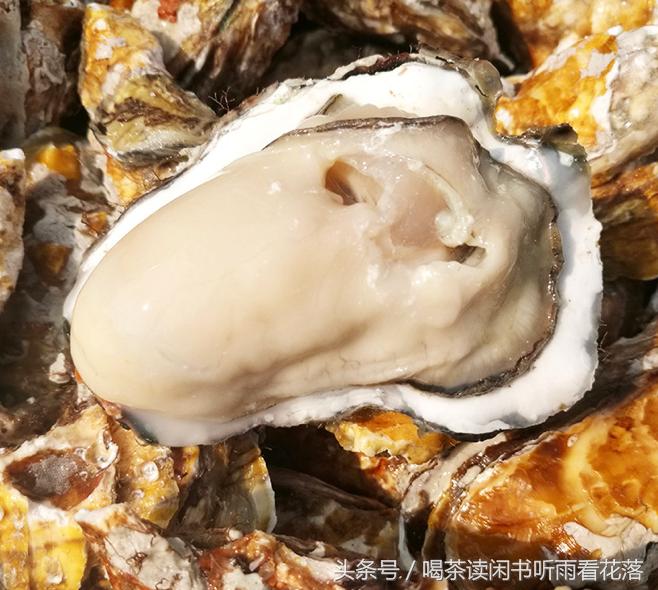 乳山牡蛎和普通牡蛎的区别,乳山牡蛎营养