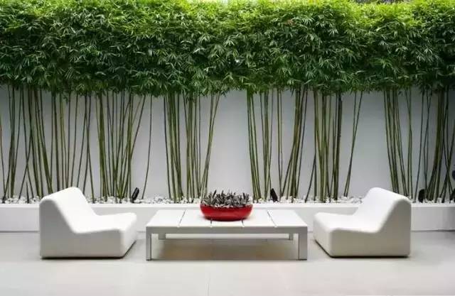 庭院风水知识简单通俗解释,农村庭院风水知识大全