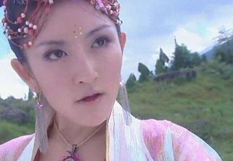 我就是演员谢娜芳华点评,谢娜演芳华