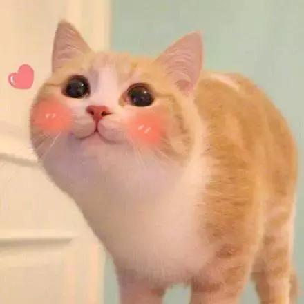 为什么只有招财猫没有狗,为什么招财猫有日文