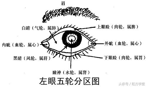 经方学习讲座,经方学堂分享