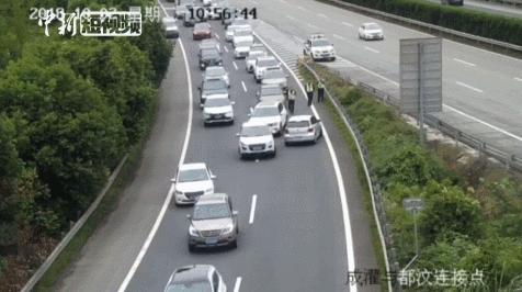 提高女司机交通安全意识,为何歧视女司机