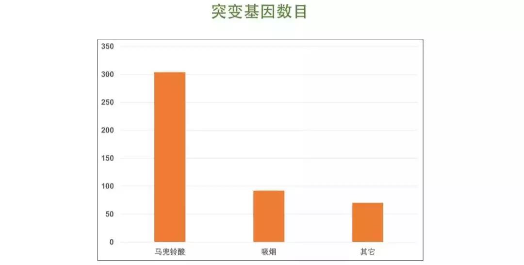 主持人李咏经过17个月的抗癌治疗,著名主持人李咏患的是什么癌症