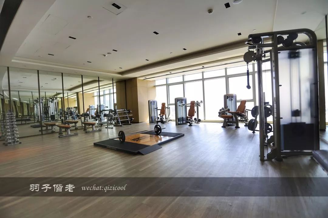 佛山罗浮宫索菲特酒店高山流水,佛山索菲特罗浮宫酒店附近美食