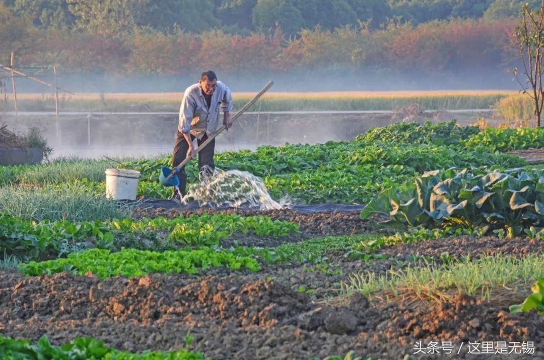 无锡正在消失的古村,无锡的真实村庄