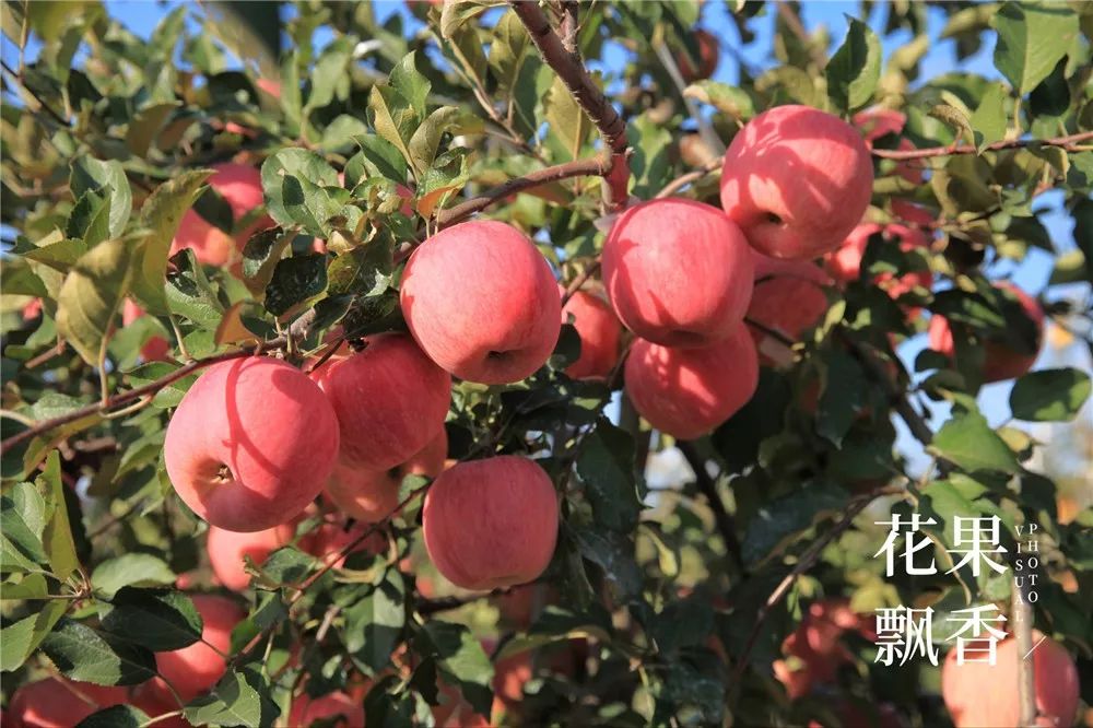 椋庡Э濞撮泤缁扮害澶氬Э,椋庡Э缁扮害娓╁杩蜂汉