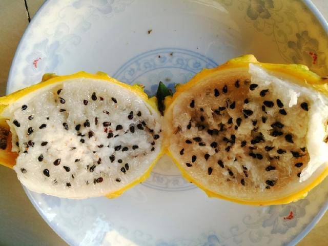 全世界最贵的20种水果排名,世界上最贵的水果排行榜前十名