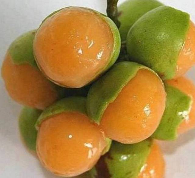 全世界最贵的20种水果排名,世界上最贵的水果排行榜前十名