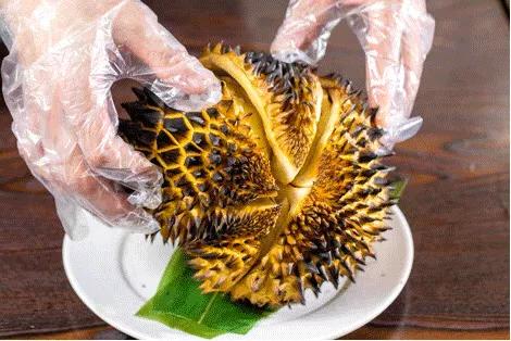 广州最好吃榴莲,最好吃的烤榴莲