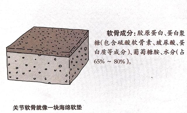 老年人骨质增生的原因有哪些,老年人腰部骨质增生怎么治疗最好