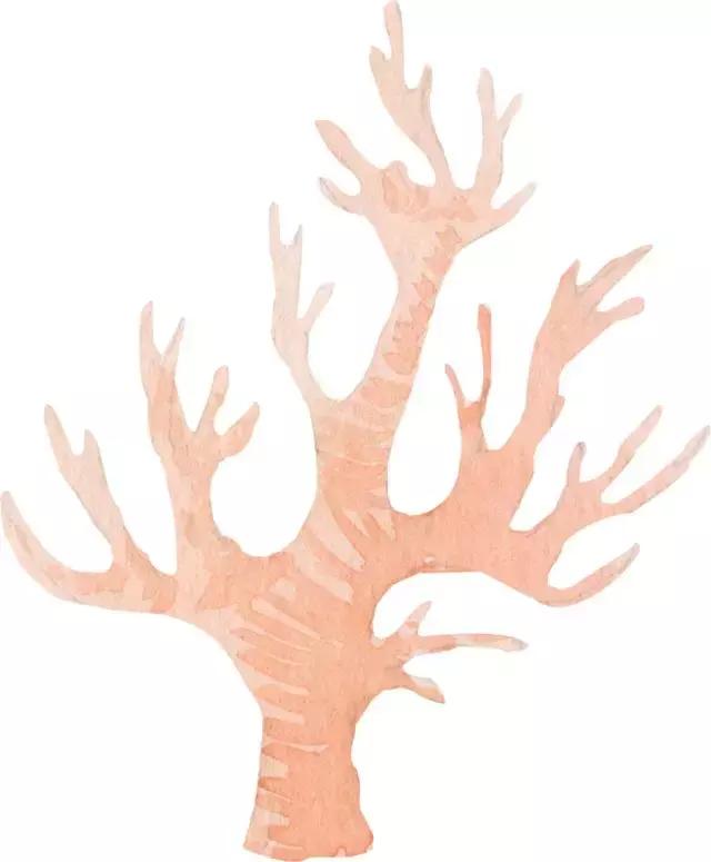 房东如何管理租房网,租房网络管理