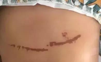 这些美味的网红食品你get到了吗,这些网红产品真的有用吗