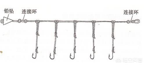 诱捕甲鱼的方法,诱捕野生甲鱼的最快方法视频