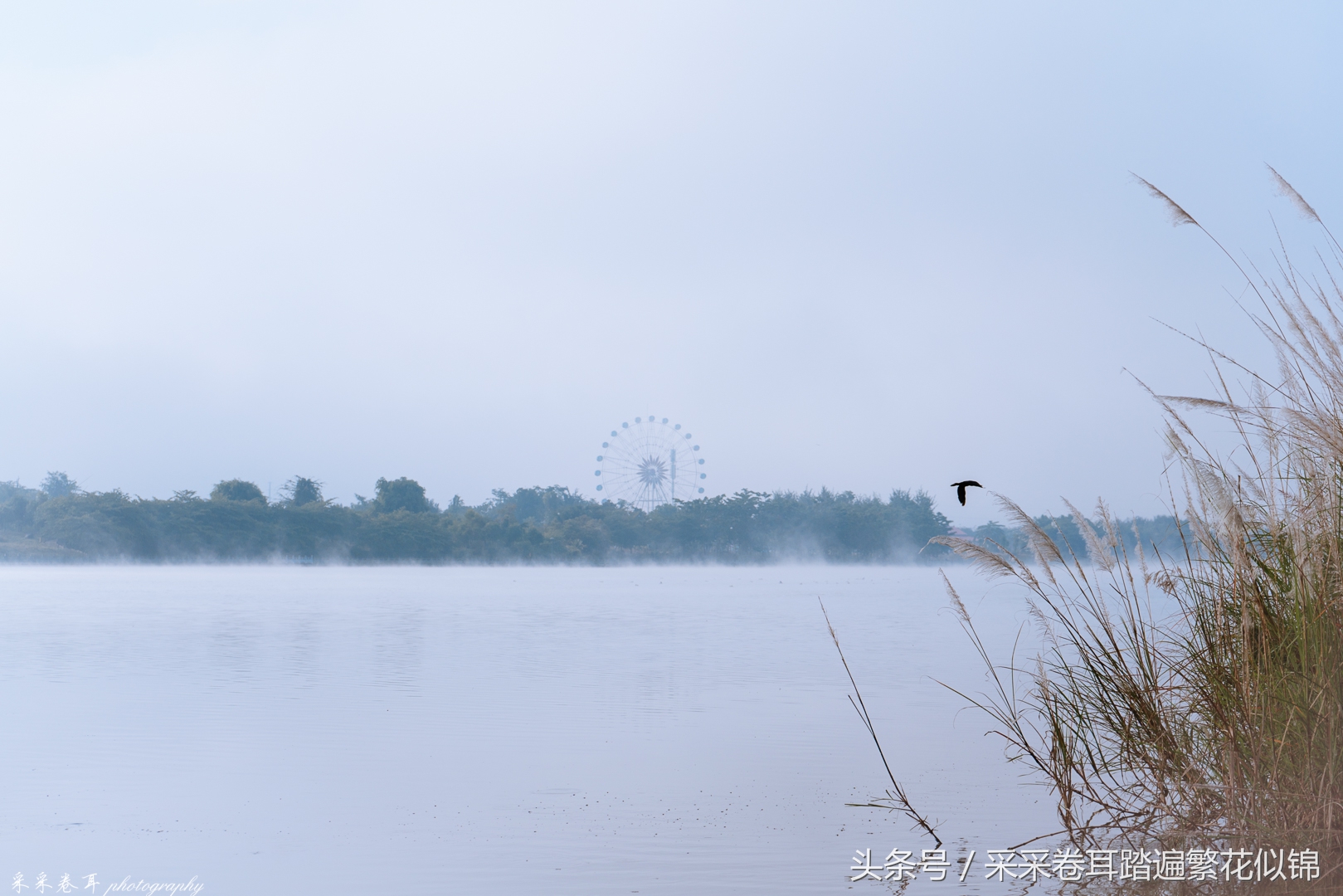 瑞丽夜晚打卡景点有哪些,瑞丽去哪里看风景