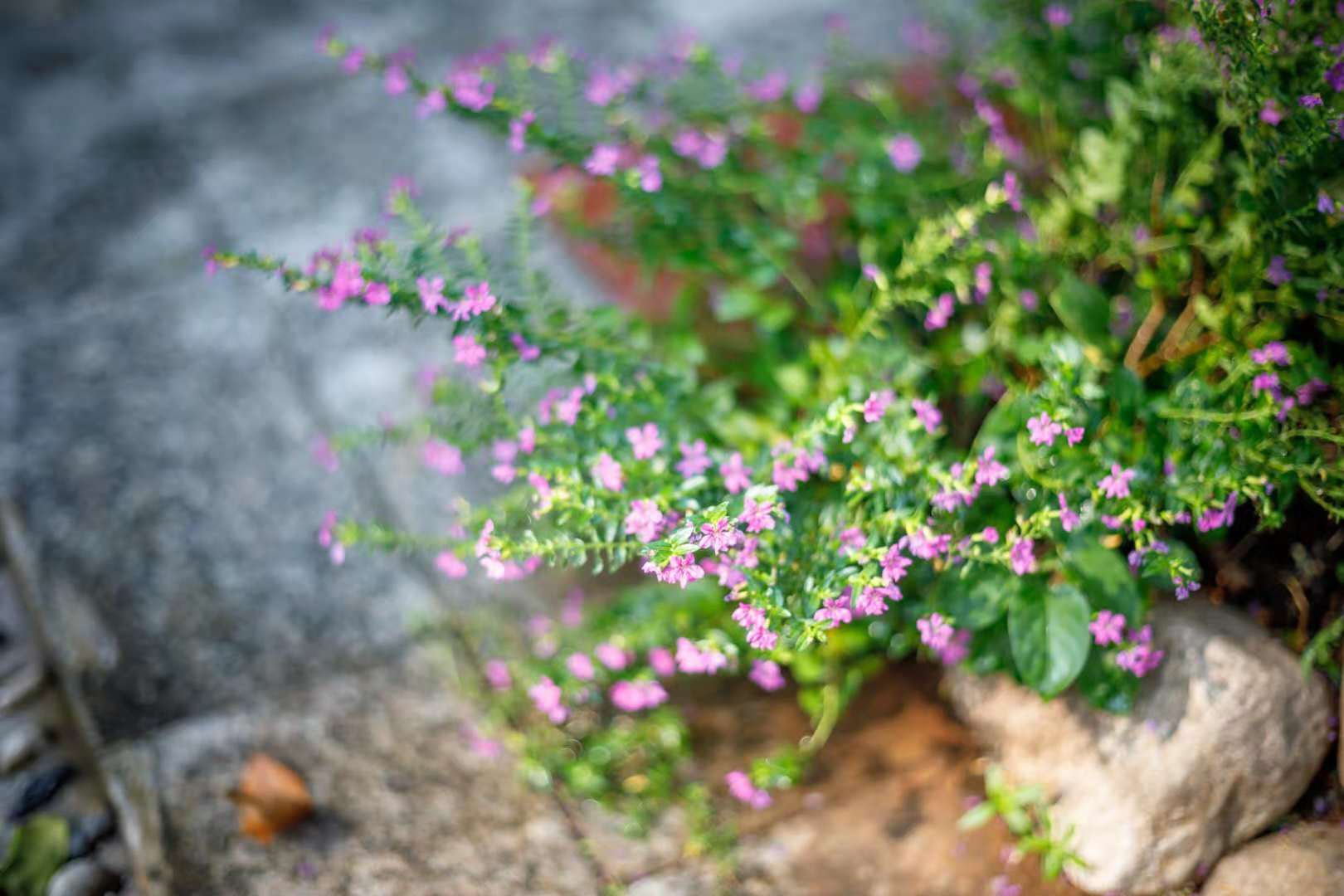 海南足球游记：摄影师眼中的非典型三亚