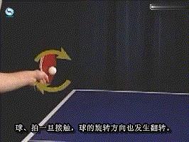 打好乒乓球注意事项,打好乒乓球的基本功
