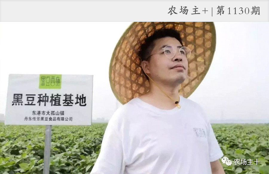 他用一块地做火2个产业，在冰葡萄田里把黑豆卖出4000万