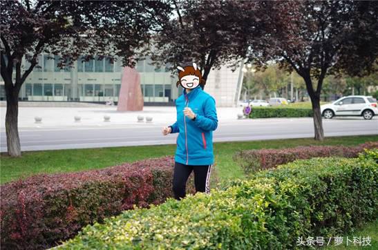 乐心手环5VS荣耀手环4：都说要搞定专业健身+购物？