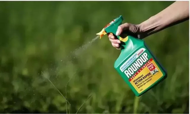 澳洲麦片是天然麦片吗,澳洲低糖麦片