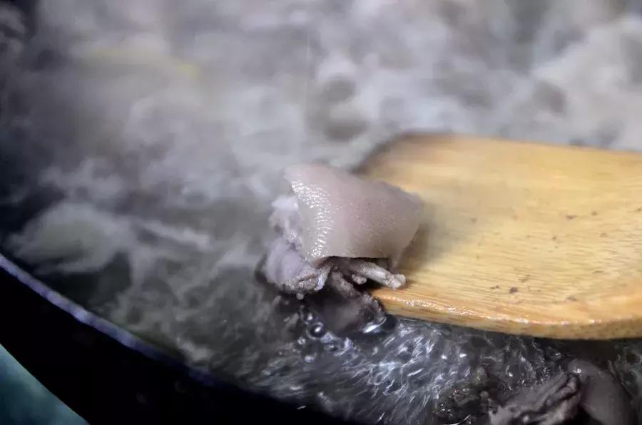 2018年华农兄弟吃的竹鼠,华农兄弟吃竹鼠的一百种理由