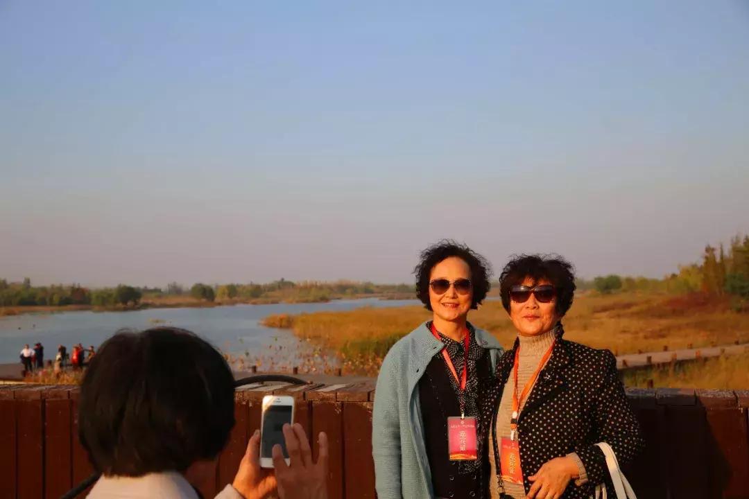 知青回沙河完整视频,北京沙河知青