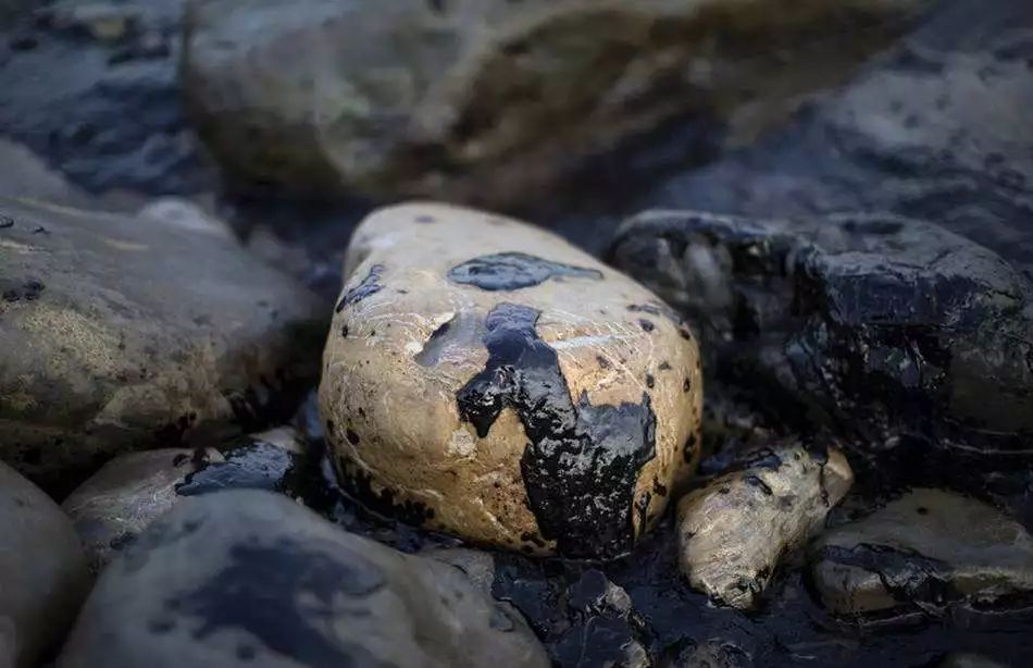 这么多东西来自石油，快来看，你家里肯定有！