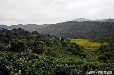 普洱山头茶价格排行,云南普洱最全30有名山头茶