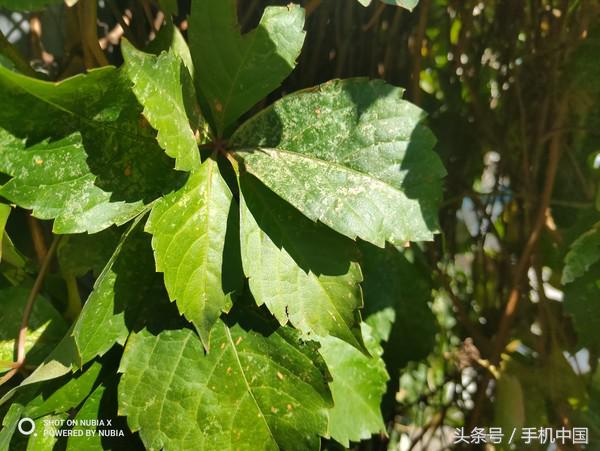 努比亚x星空典藏版双屏交互,努比亚x试玩