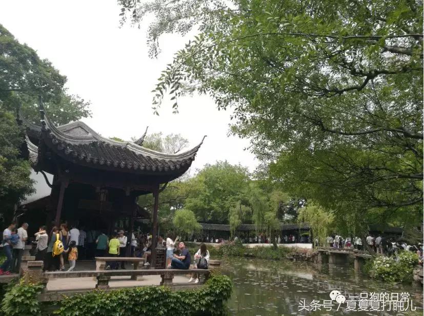 一只狗的旅游记,一只狗去洛阳旅游