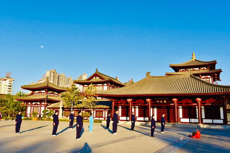 秋到上阳宫，黄叶蓝天高宫阙，皇帝都赞的美景，免费你都没去看？