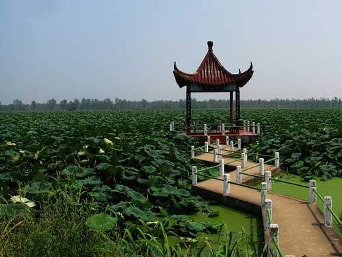 江苏各地方区域经济排名地图,江苏省苏北地市县经济排名榜