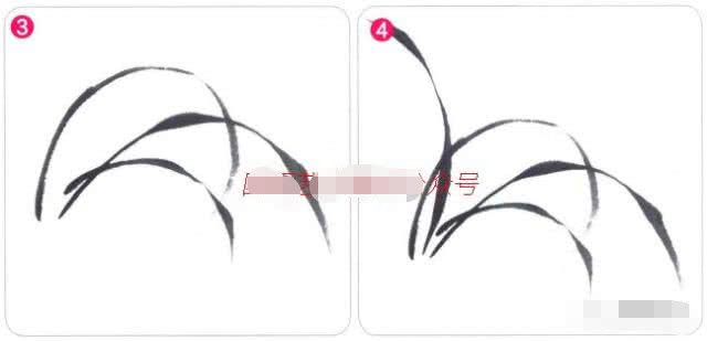 兰花国画写意画法初学者教程,国画教程写意兰花示范讲解