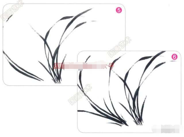 写意兰花的基本画法视频,写意兰花的画法技法视频