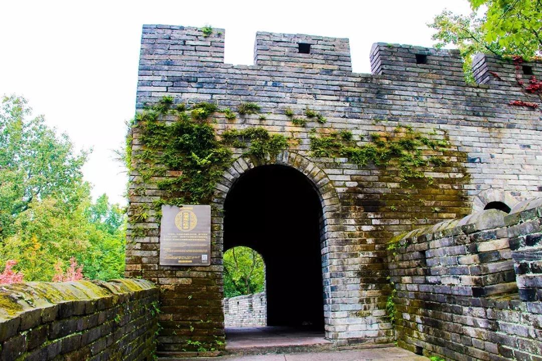 娴欐睙鍙板窞瀹濊棌鐢峰,鍙板窞瀹濊棌鐢风敓