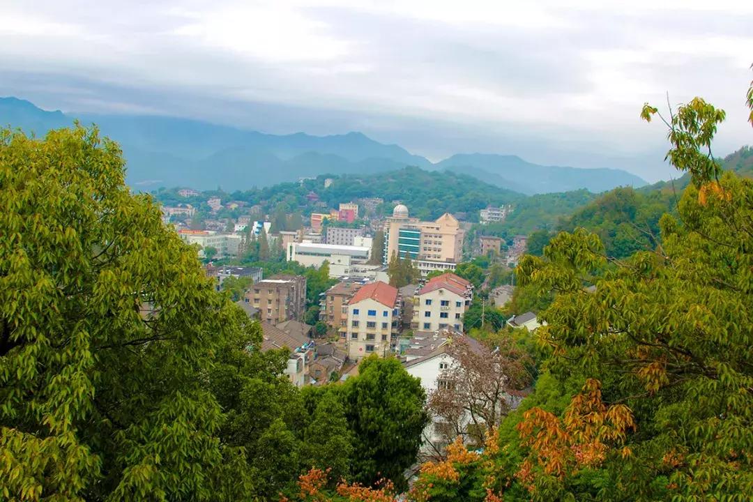 娴欐睙鍙板窞瀹濊棌鐢峰,鍙板窞瀹濊棌鐢风敓